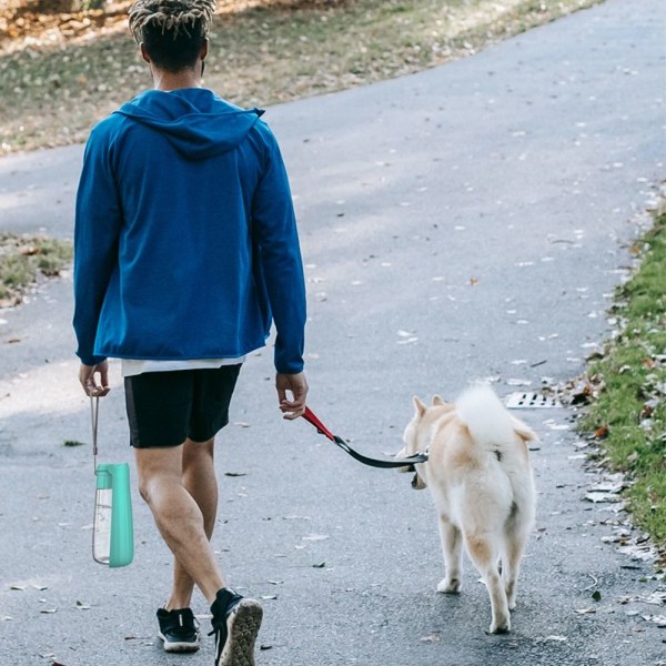 Hund Vattenflaska Vattenflaska Dispenser GRÅ Grey