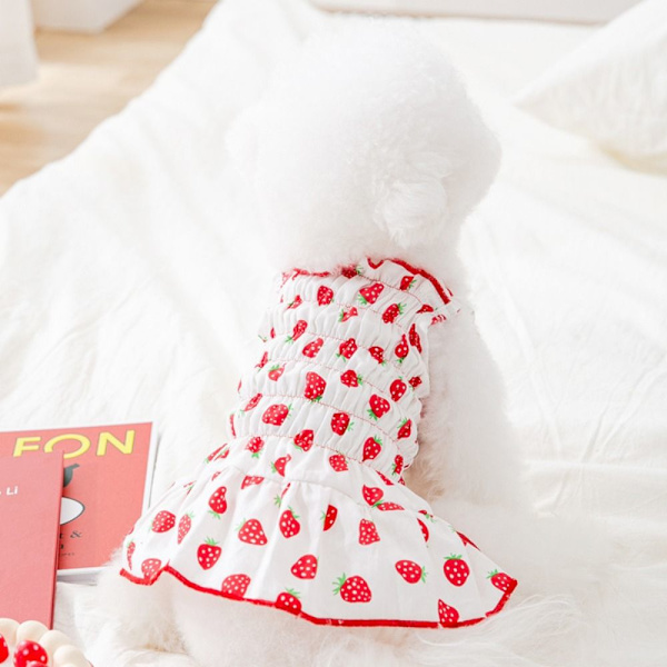Pet Strawberry Dress Pet Hundetøj GUL L yellow L