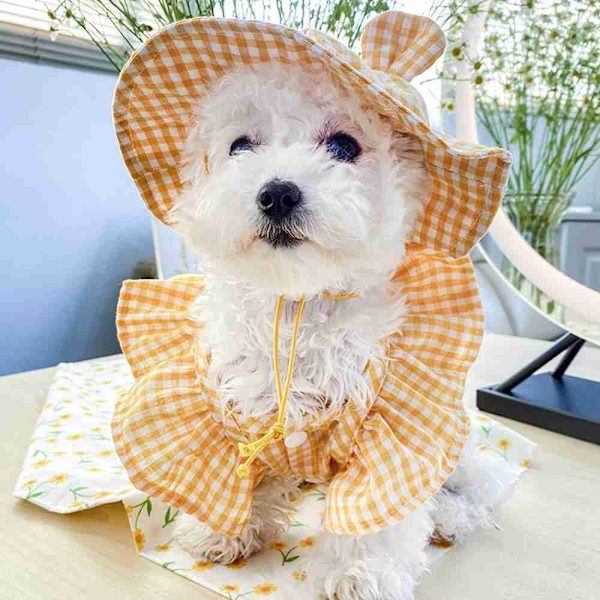 Pet Ear Hat Solbeskyttelseshat SORT black