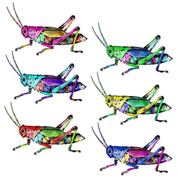 Beetle Veggdekorasjon Hjemmehåndverk B B B
