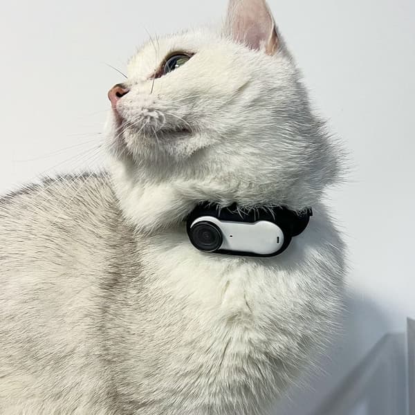Håndkabelstrop Armbånd SORT Black