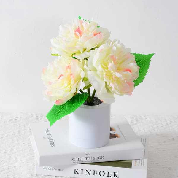 Led Peony Night Light Night Light 2 2 2