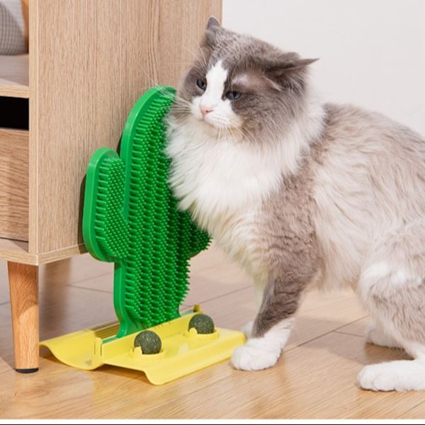 Cat Scratch Device Cat Scratch Board MINT POWDER STYLE MINT Mint Powder Style