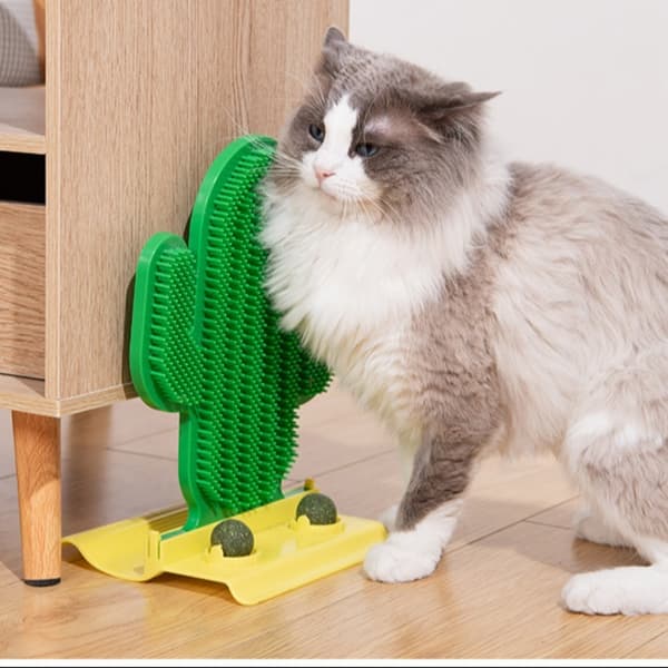 Cat Scratching Device Cat Scratch Board MINT BALL STIL MINT Mint Ball Style