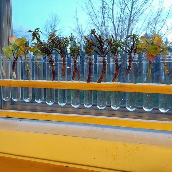 10 kpl Koeputki Science Tubes Byretti