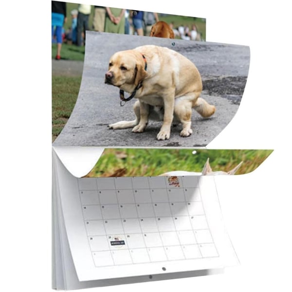 Hundepooping Vægkalender Pooches Kalender Månedlig hvalpe