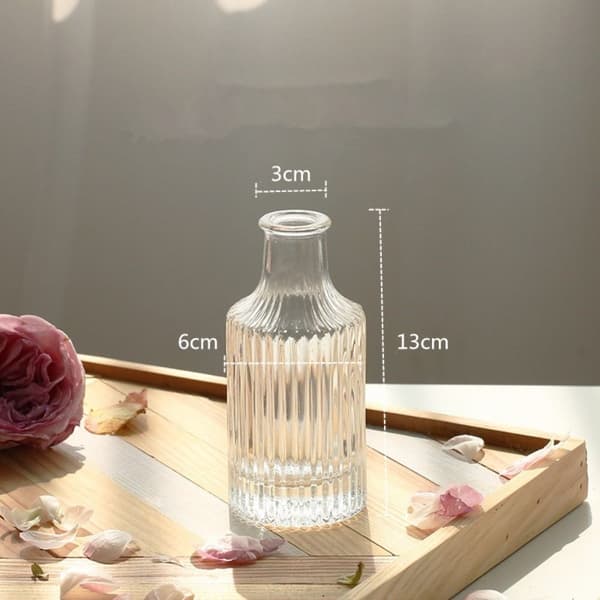 Glassvase Hydroponic Terrarium 6 6 6