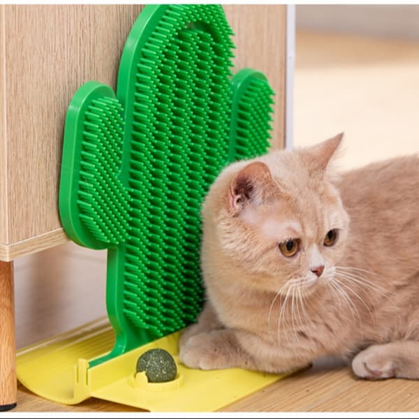 Cat Scratch Device Cat Scratch Board MINT BALL STYLE MINT Mint Ball Style