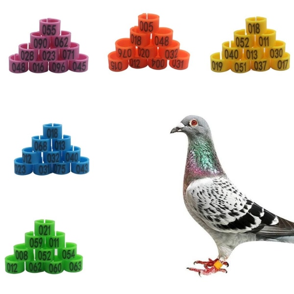 Pigeon Rings Dove Bird Clip Rings MULTICOLOR Multicolor