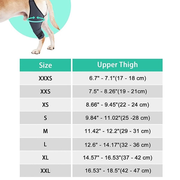 Lemmikkien polvisuojat Koiran tukituki XLLEFT LEG LEFT LEG XLLeft Leg
