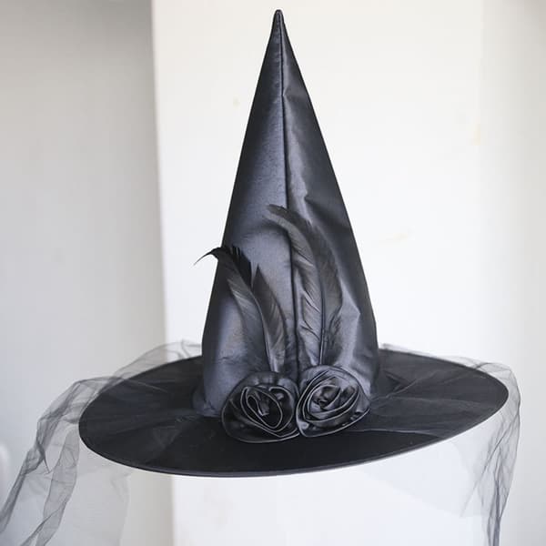 Halloween Witch Hat Feather Wizard hatt LILA purple