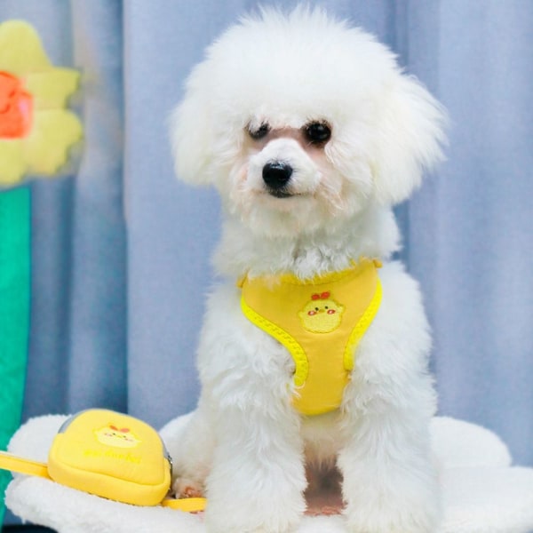 Dog Self Ryggsäck Pet Rullesäck GUL S yellow S