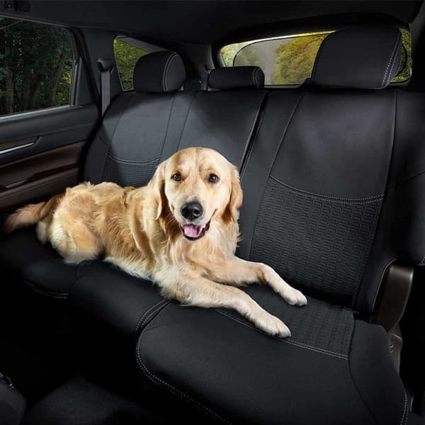 Car Sunshade Car Windshield Protector Bakre frontrute