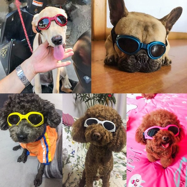 Dog Goggles Pet Solbriller GUL yellow