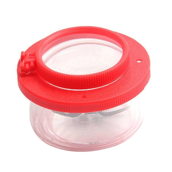 Bug Viewer Insect Box Magnifier 08 08 08