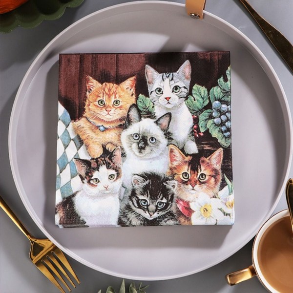 Kattpappersservett servettpapper festpappersmjukpapper 100Pcs
