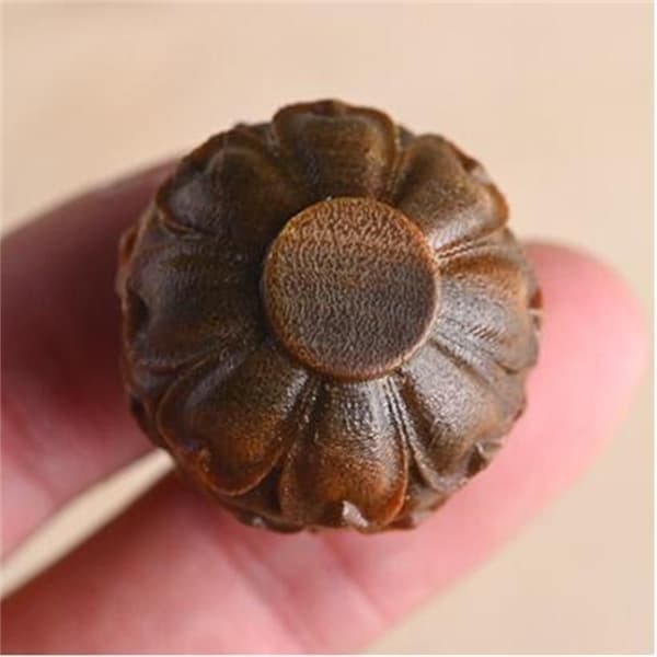 Medicine Pill Box Mini Santelipuu Rescue Pill Case STYLE 1 Style 1