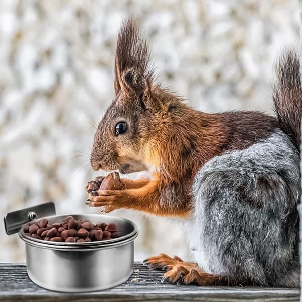 Lemmikkien syöttölaite lintujen ruokakuppi 12cm 12cm