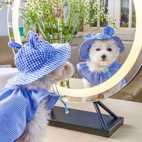 Pet Ear Hat Solbeskyttelseshatt BLÅ blue