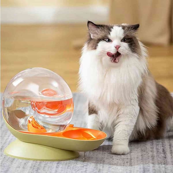 Vandfoder til kæledyr Cat Vanddispenser FARVE 4 FARVE 4 Color 4