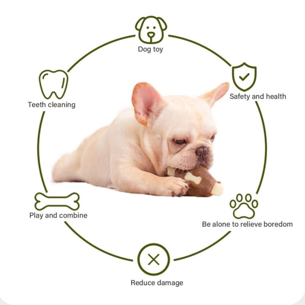 Nylon + kohud hundben Husdjursleksaker Naturligt giftfritt