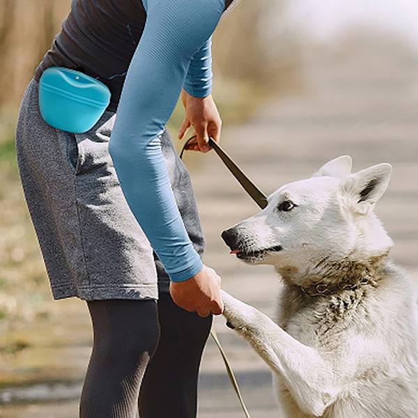 Hundegodtpose Valp Snackpose ROSA Pink