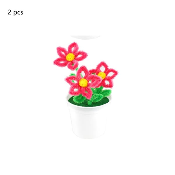 2 st sköldpaddsblomma i krukväxt 3 3 3