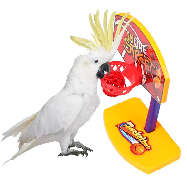 Parrot Toys Intelligence Training 4 Styck