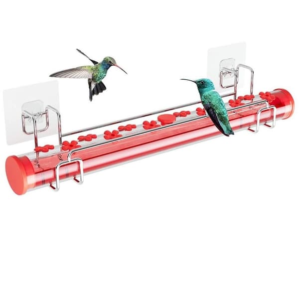 Hummingbird Feeder Birds Matning A A A