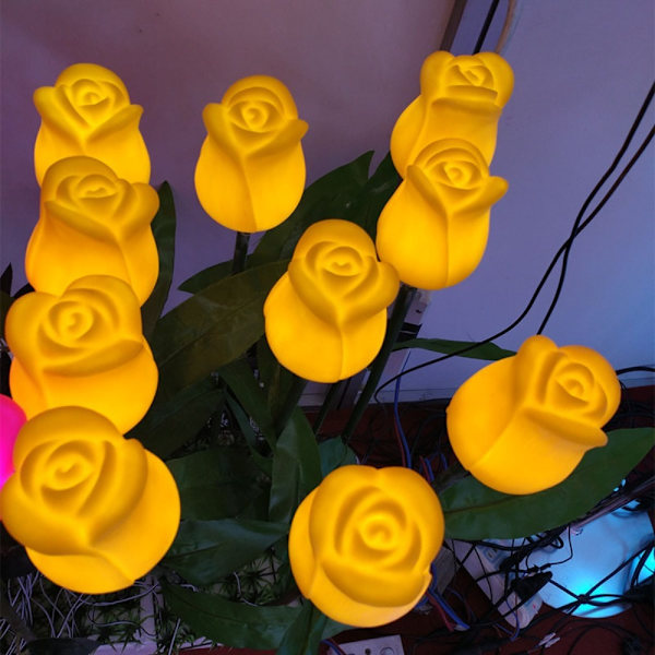 Blomsterlykttulipan 1 1 1