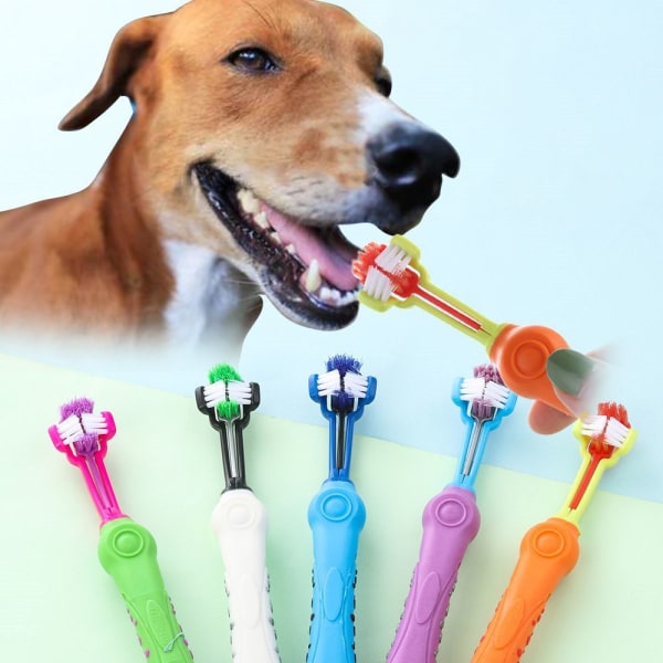 Tandborste för sällskapsdjur Hund Katt Rengöringstillbehör purple
