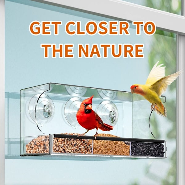 Window Bird Feeder Linnut Riippuva Feeder Birdhouse