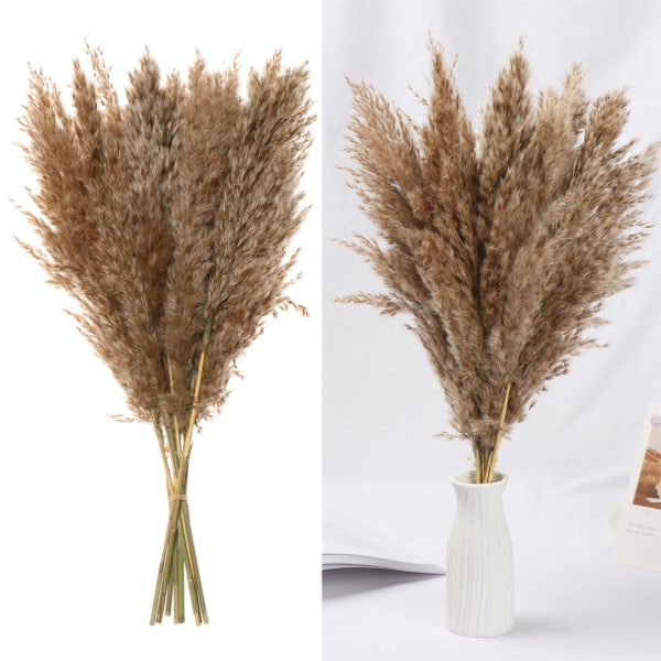 10x liten naturlig torkad pampas gräsrörsblomma