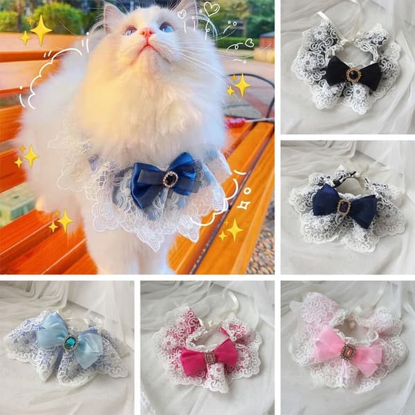 Lace Bowknot Pearl Collar ROSE RED S rose red S