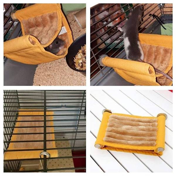 Husdjur Fågel papegojburar Hamsterbo GUL S Yellow S