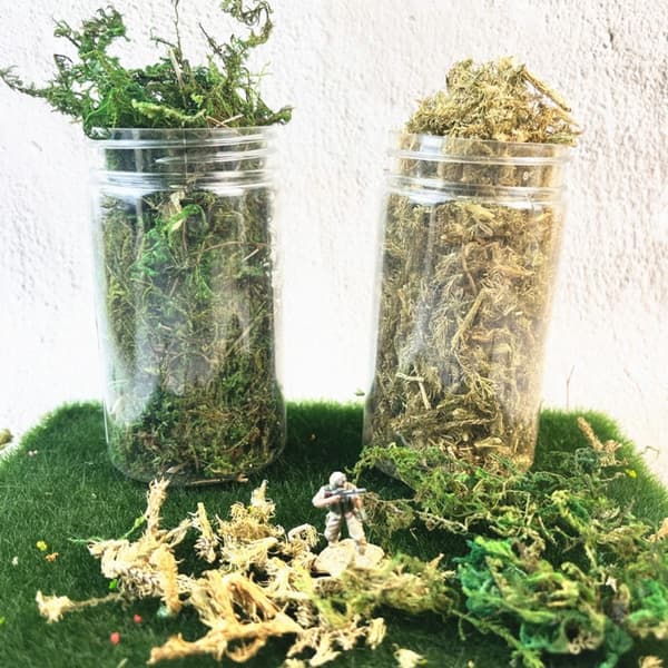 1 æske simulerede buskmos miniature statiske planter GRØN green