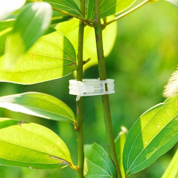 Planteclips Plantestøtteclips 100 STK 100 STK 100pcs
