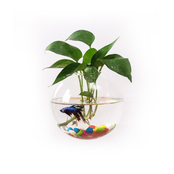 Hydroponic Vase Terrarium Ball Flower Pot S S