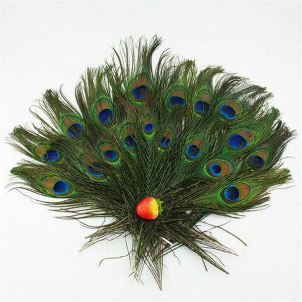 30 kpl Peacock Feather Natural Feather Tail