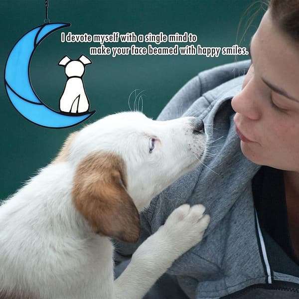Hunde Minneanheng Hunde Solfanger B B B