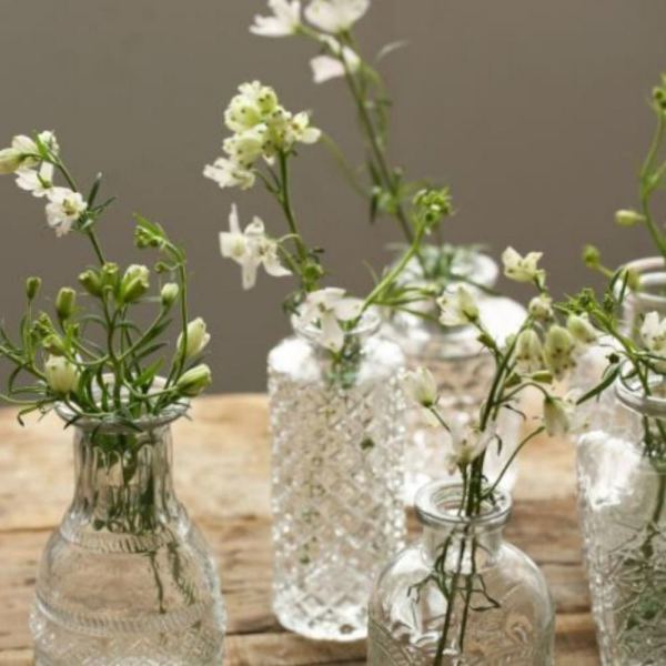 Glasvas Hydroponic Terrarium 8 8 8