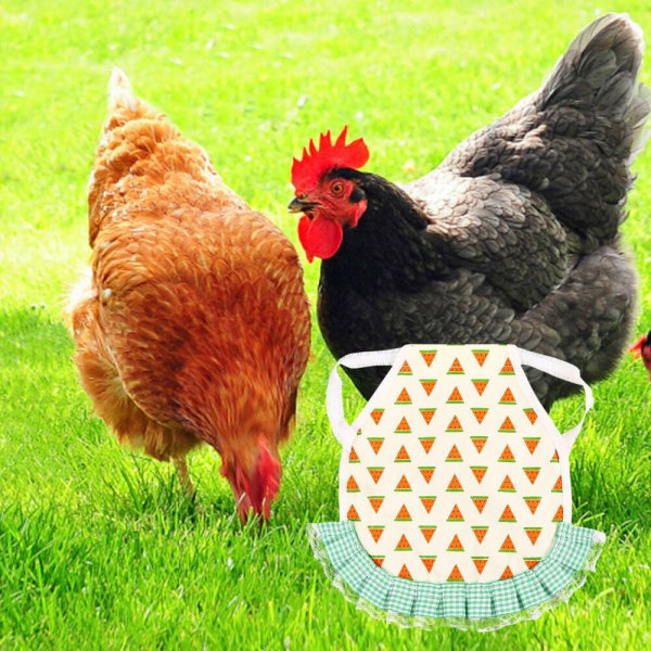 Kyllingsalforkle Kyllingfjærbeskytter G G G