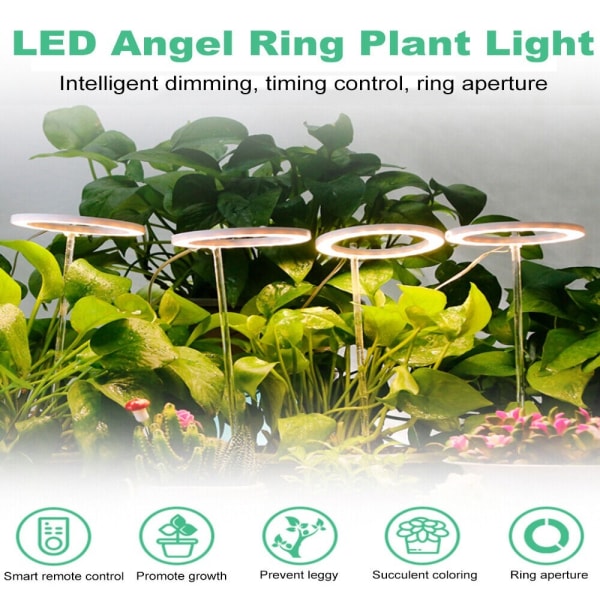 Grow Light Ring Lampe 4 RING 4 RING 4 Ring