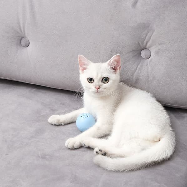Smart Cat Legetøj Automatisk rullebold BLÅ blue