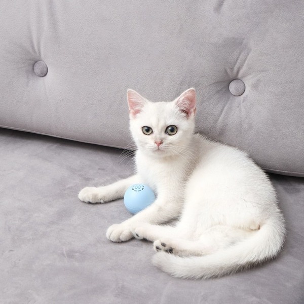 Smart Cat Lelut Automaattinen rullaava pallo SININEN blue