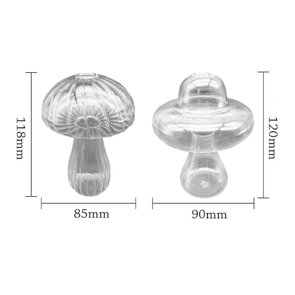 Soppglassvase Aromaterapiflaske C C C
