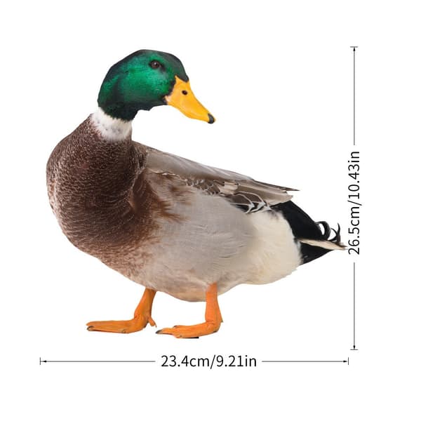 Akryl Duck Statyer Duck Sculpture A A A