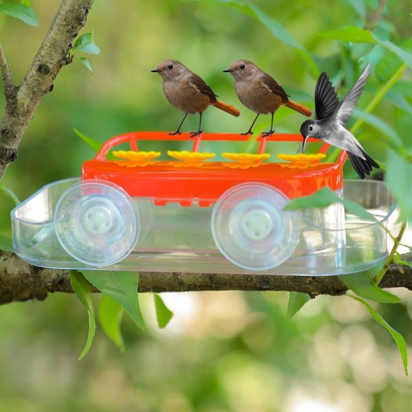 Window Hummingbird Feeders Humming Bird Feeder Fugle Water Feeder