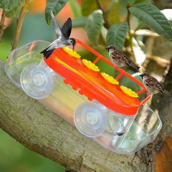 Ikkuna Hummingbird Feeder Humming Bird Feeder Lintujen veden syöttölaite