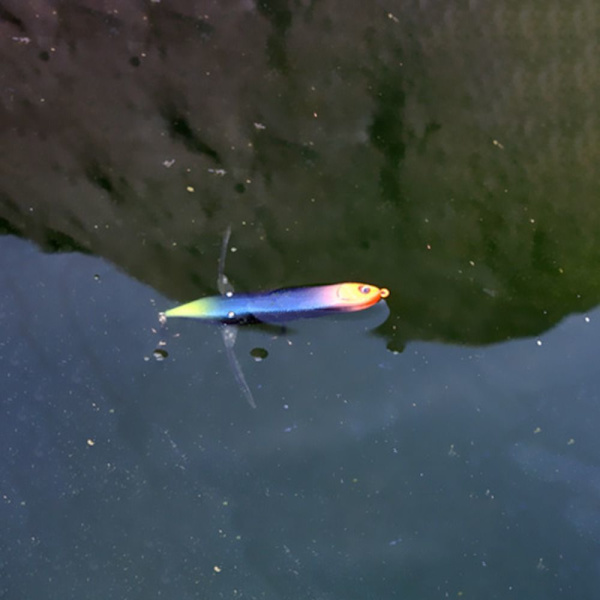 Simulerad insektsbete Pencil Lure TYP A TYP A Type A